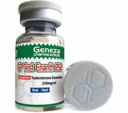 GP Test Enanth 250 mg (1 vial)